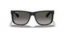 0RB4165L__601_8G__STD__shad__fr.jpg