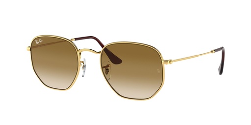 [10023] Anteojos de sol Ray-Ban 0RB3548 (001/51, 51)