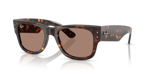 [10190] Anteojos de sol Ray-Ban 0RB0840S (902/1A, 51)
